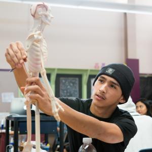 A student sculpts a skeleton